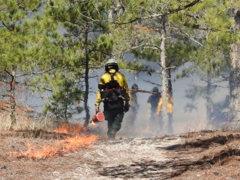 A firefighter walks with a drip torch