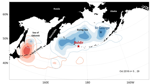 Map of Beriing Sea and Sea of Ohsotsk showing colored shapes.. The sea of Okhotsk has mostly red and the Bering Sea mostly blue.
