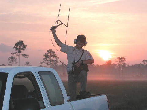 Person standing in the back of a pick-up truck, holding an antenna in the air. Antenna is connected to a box resting on his thigh.