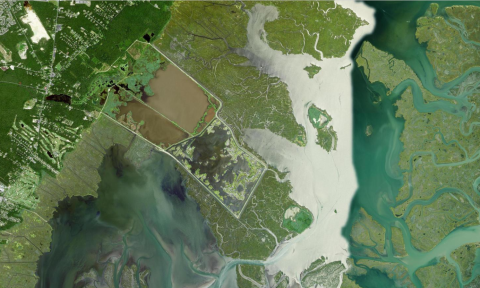 A satellite view of the Wildlife Drive and surround tidal salt marsh.