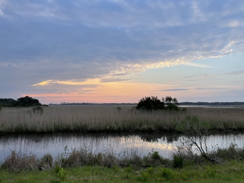 A sunrise view of a created wetland