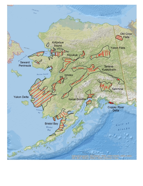 Map of Alaska with lines in red showing the transect that are flown for the warerfowl breeding pair and habitat survey