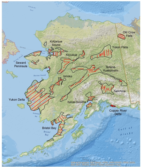 Map of Alaska with lines in red showing the transect that are flown for the waterfowl breeding pair and habitat survey