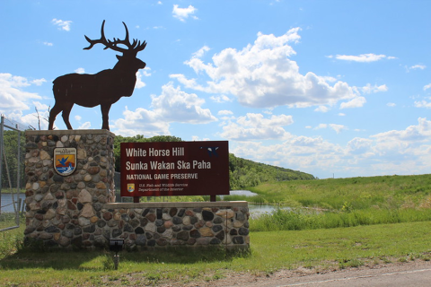 A sign bearing the USFWS logo and a metal cutout of an elk. The sign reads White Horse Hill Sunka Wakan Ska Paha National Game Preserve, United States Fish and Wildlife Service