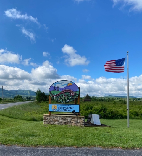 A sign saying Visitor Center and Offices is shown against a blue sky surrounded by green grass with an American flag flying to the right of it