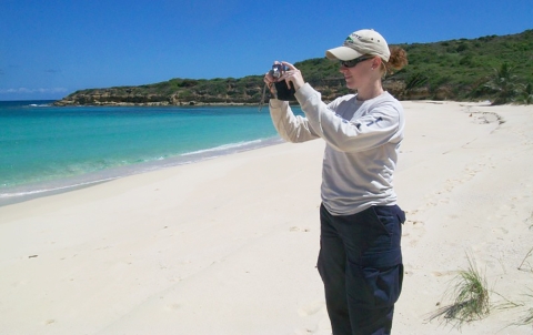 Wildlife Photography on a beach at Vieques National Wildlife Refuge