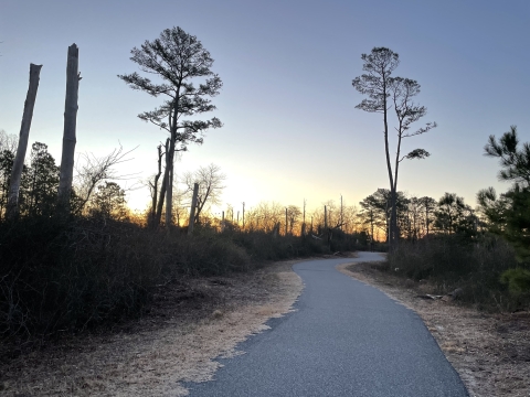 Looking down a winding paved trail with vegetation on either side