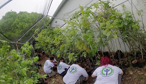 YCC Enrollees at work planting vegetation