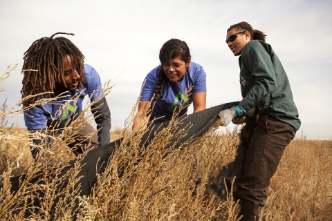 Three young people pull on a barrier in a field.