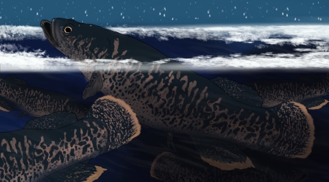 digital depiction of speckled fish pushing up through the ice