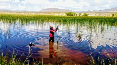 A woman standing in a lake or pond measures something with a gauge.