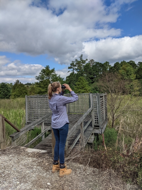 Woman with binoculars stands in front of Goose Pond wooden viewing platform looking iin the distance.