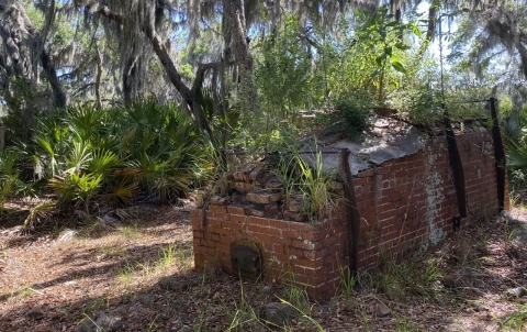 A partially collapsed brick structure nestled in a beautiful landscape surrounded by dwarf fan-shaped palms and spanish moss hanging from tree limbs.