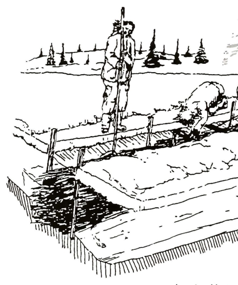 drawing depicting 2 men checking an under ice trap