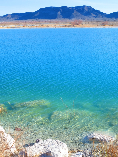 Bright blue water sits in stark contrast to the yellow desert surrounding it