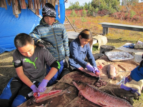 two youngsters practice cutting fish with ulu knives while another looks on