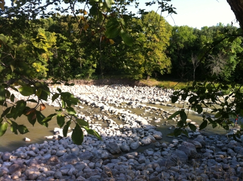 Stream after removal of a dam