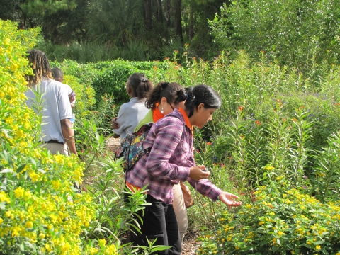 Visitors exploring the pollinator garden at Pinckney Island NWR.