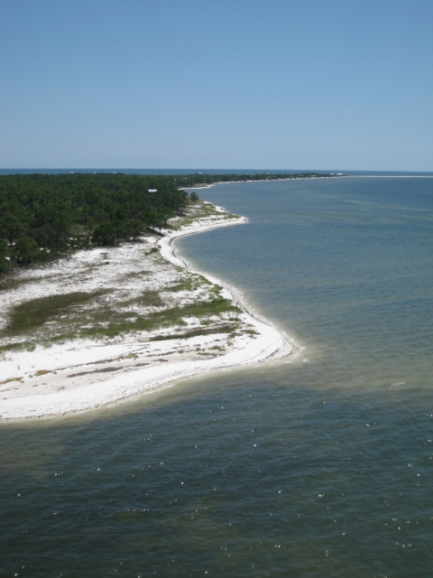 Aerial view of coastline with coastal vegetation dominating white, sandy beach.