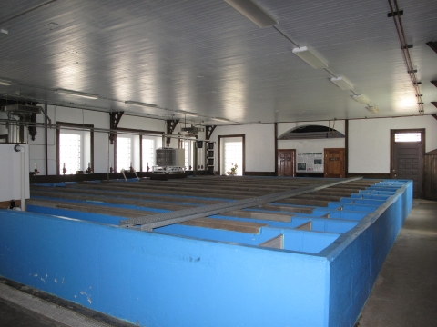 Leadville hatchery tank room