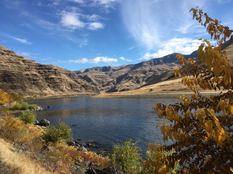 Lower Snake River in the fall