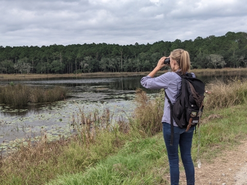 A woman is birdwatching at the pond while she hikes the Perimeter Pond trail.