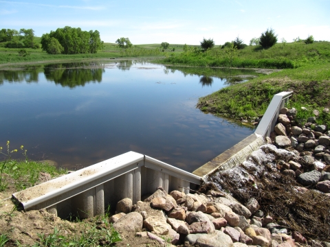 Water flows over a newly placed metal weir that holds back several acres of water to restore a once degraded wetland.