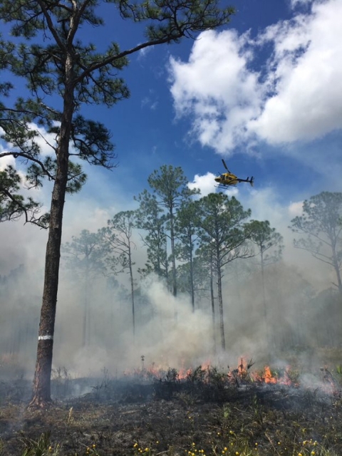 Under an intense blue sky and a few thick white clouds, a helicopter hovers over the contained forest fire.