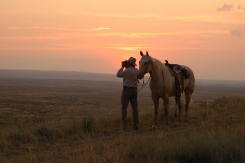 A man looks into the distance at sunset with his horse nearby.
