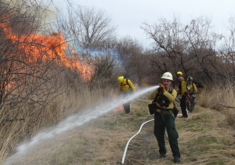 firefighters performing a prescribed fire