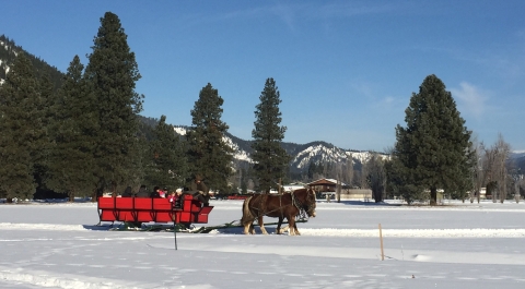 Horses pulling a sled across a snow covered field. 
