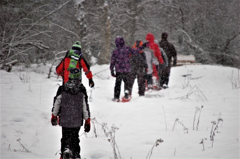 A line of people snowshoeing in the falling snow.
