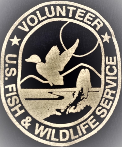 USFWS Volunteers 
