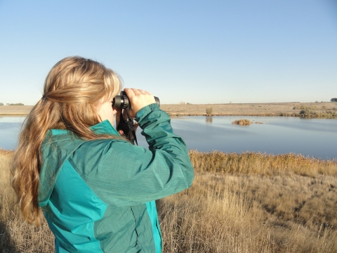 woman bird watching over a wetland