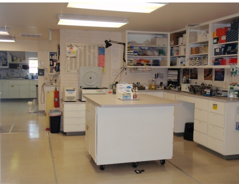 A scientific lab with white cabinets and various scientific instruments. 