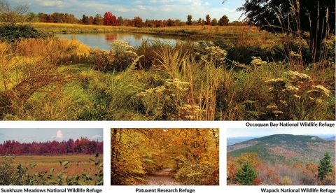 A collage of autumn landscapes on four national wildlife refuges