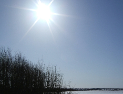 A fuzzy sun in a clear blue sky over a body of water and leafless trees