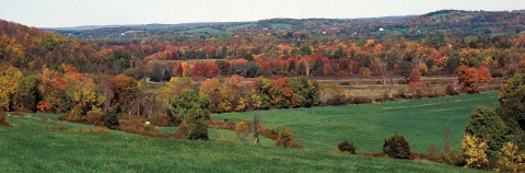 Rolling hills covered in green fields and autumn-colored trees