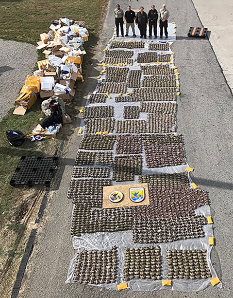 Aerial view of a 14,000 mitten crabs that are seized with open boxes containing them on the 
