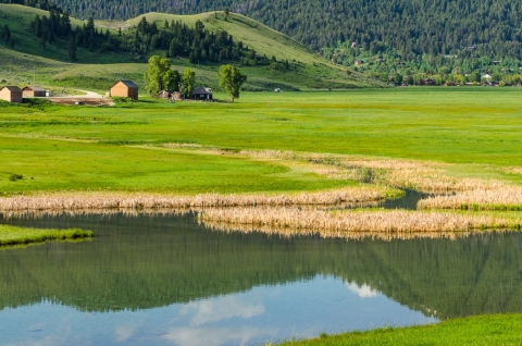 A ranch, with vibrant green grass, next to a pond at the foot of a mountainside. 