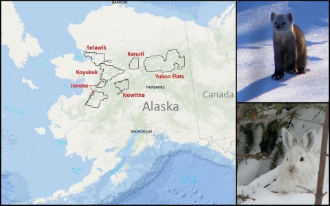 A map showing six wildlife refuges in Alaska with winter wildlife photos next to it.