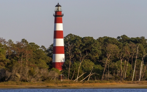 A tall, slender red-and-white-striped lighthouse surrounded by tree next to water