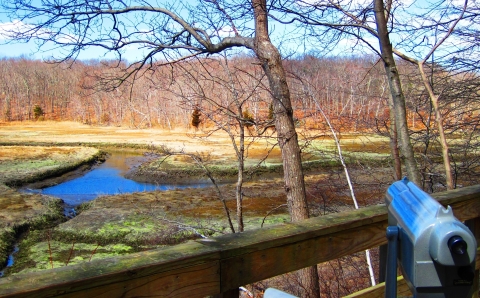 A stream meandering through flat wetland as seen from a platform with a telescopic viewer in the foreground
