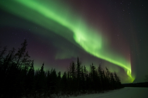 A streak of fuzzy green light in a dark sky over a snow-covered forest