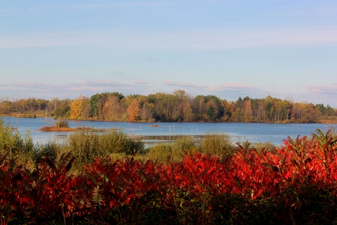 A wetland surrounded by trees whose leaves are red, orange, yellow and green