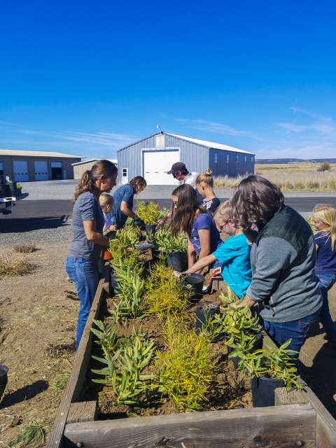 FWS staff along with community members plant milkweed as a part of a project at Modoc NWR.