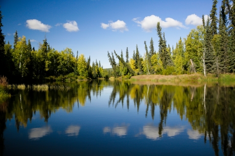 Kanuti River with blue sky and small white clouds reflecting in the water.