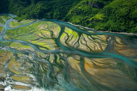 Aerial view of many water channels merging into the ocean, with mudflats and estuary grasses in between. 
