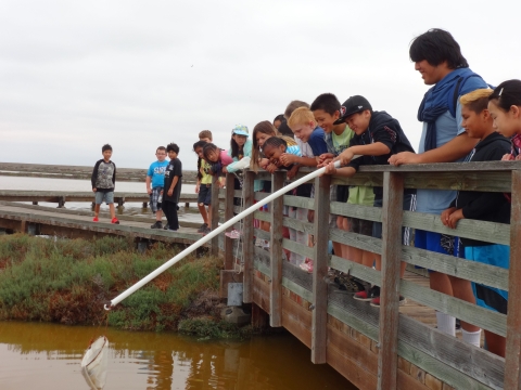 Youngsters sample water at Don Edwards San Francisco Bay National Wildlife Refuge.