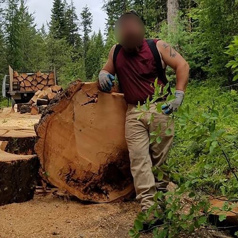 A man standing next to the end of the a chopped down tree with his face blurred out. 